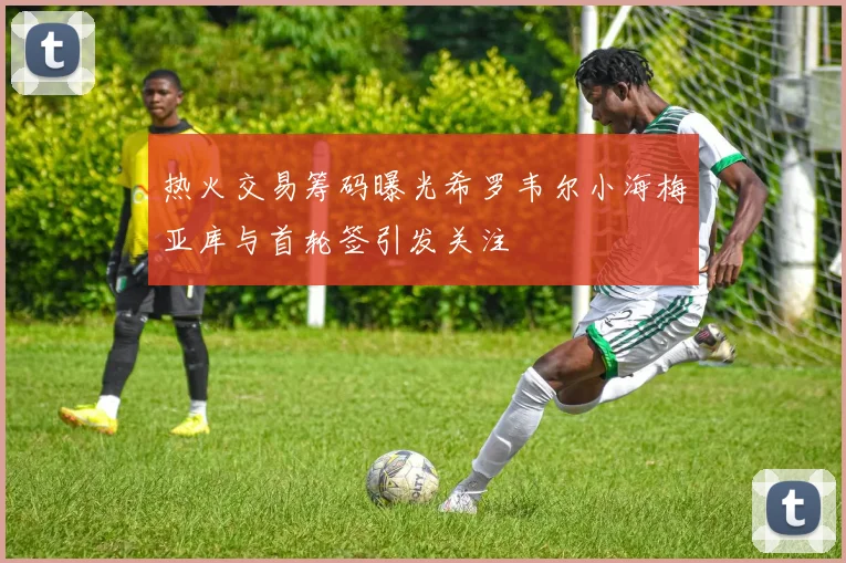 热火交易筹码曝光希罗韦尔小海梅亚库与首轮签引发关注