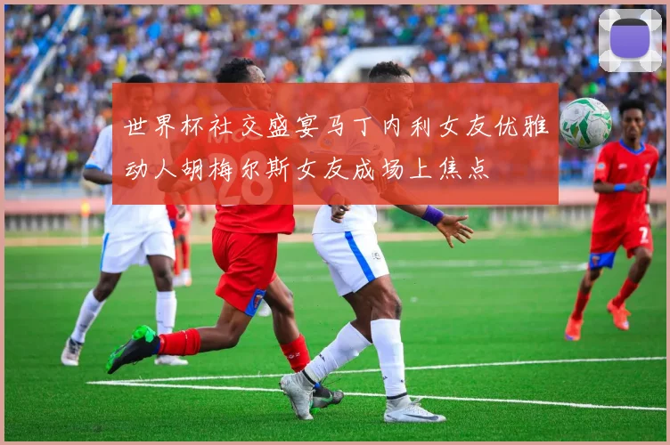 世界杯社交盛宴马丁内利女友优雅动人胡梅尔斯女友成场上焦点