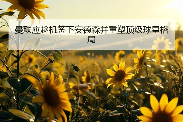 曼联应趁机签下安德森并重塑顶级球星格局 | 9bo.com